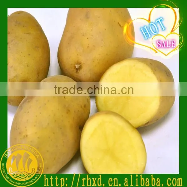 2016 New Fresh Nourishing Potato