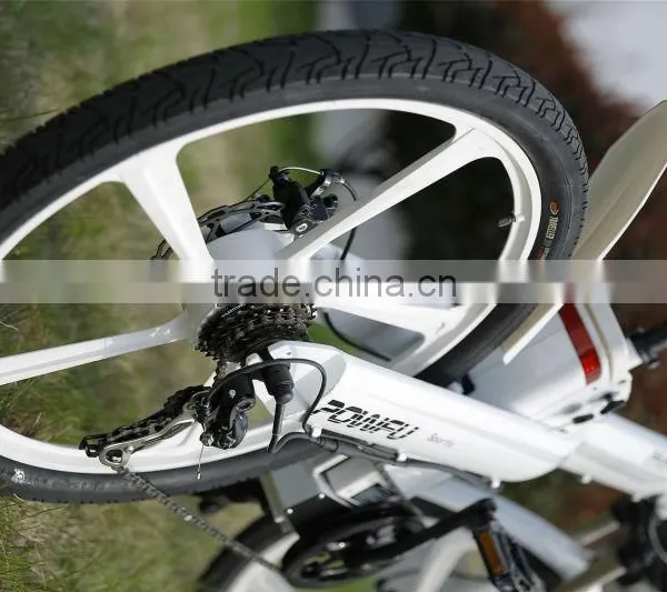 Hot Sale EN 15194 Electric Bicycle With Motor Front Mag Wheel photo-6