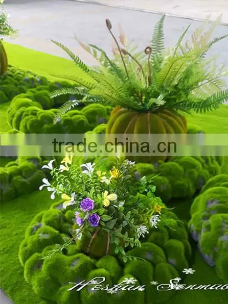 New Product Direct Manufacturer Types of Ornamental Plants Ornamental Plants for Wholesale&decoration