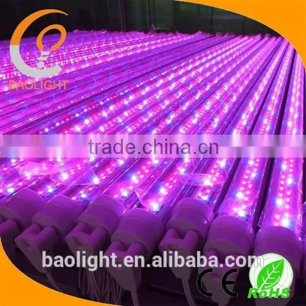 T8 red/blue led plant grow light tube 120cm/150cm/8feet