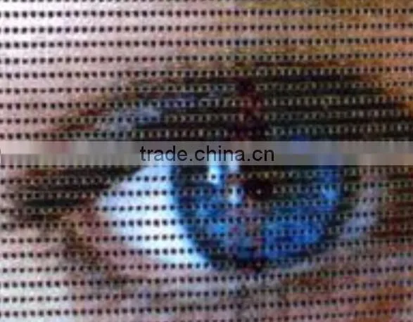 Eco-solvent /solvent Outdoor 1000*1000D/12*12 270g Pvc Mesh Banner Material photo-2
