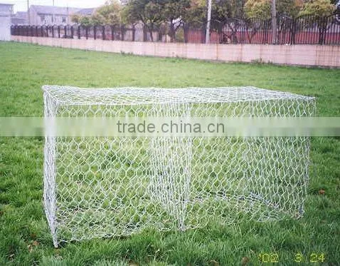 Heavy Hexagonal Mesh