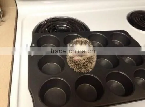 Food Grade Silicone Cake Pan and Baking Mold