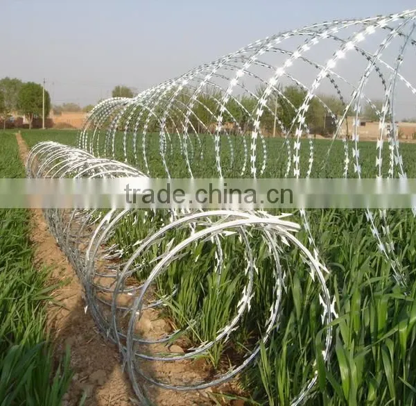 ISO9001:2000 Certified Manufacturer Safety Clips Razor Wire/production of Blades/Razor Barbed Wire Philippines photo-5
