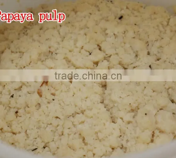 100% Natural High Quality Papaya Powder Factory Supply Dry Papaya Powder photo-3