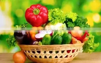 Fresh Vegetables Exporters photo-5