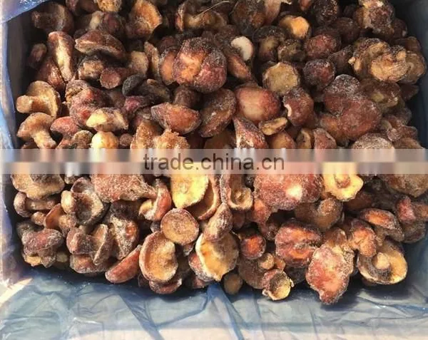 2015 Low Price Frozen Suillus Granulatus photo-4