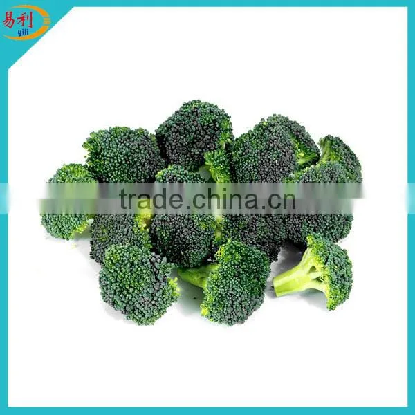 Supply Frozen Broccoli