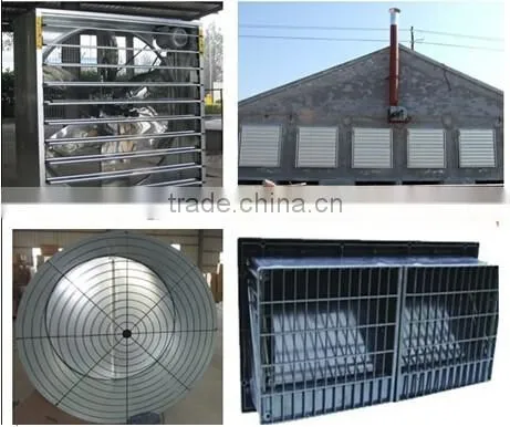 Automatic Broiler Poultry Equipment photo-6