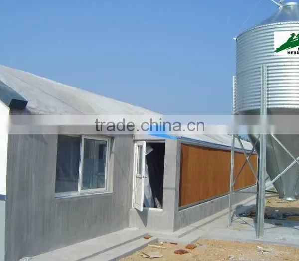 Automatic Chicken Raising Equipment photo-3