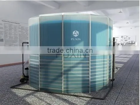 Portable Biogas Anaerobic Digester for Power