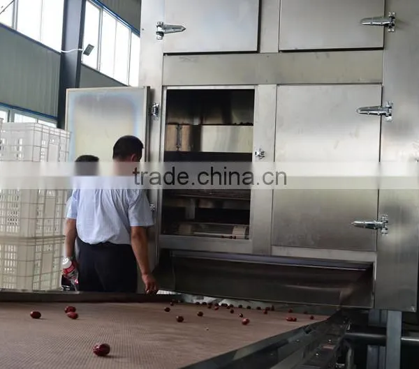 Red Dates Multiple Layer Stainless Steel Conveyor Dryer photo-2