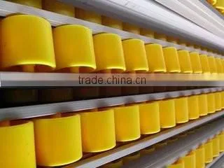 Roller Placon Conveyor With Plastic Roller Skatewheel Placon Roller Steel Frame photo-5