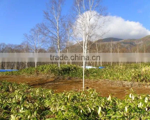 Real Estate for Sale in Japan , Ski Resort , Winter Resort photo-2