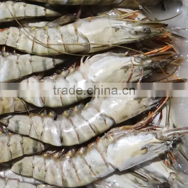 HL002 Best Price Wild Frozen Shrimp and Seafood photo-5