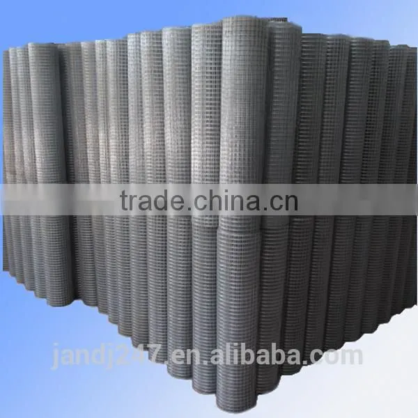 Galvanized Welded Wire Mesh From Guangzhou Supply photo-6