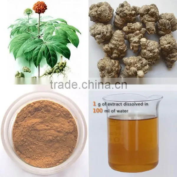 Farmers Supply Wenshan Sanchi Radix Notoginseng 30 PCS /500 G photo-5