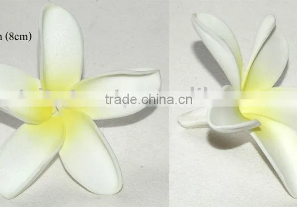 Hawaiian Foam Flower Frangipani Plumeria (KAX)