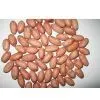 Sell Chinese Peanut and Peanut Products
