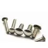 Carriage Bolts