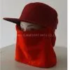 Winter Cap