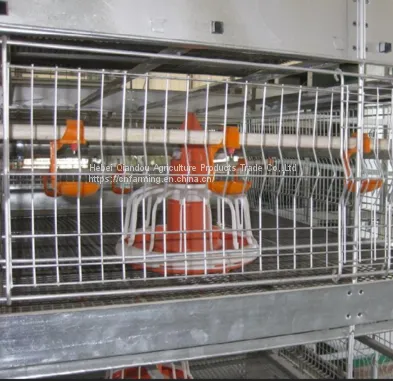 Breeding Cages photo-2