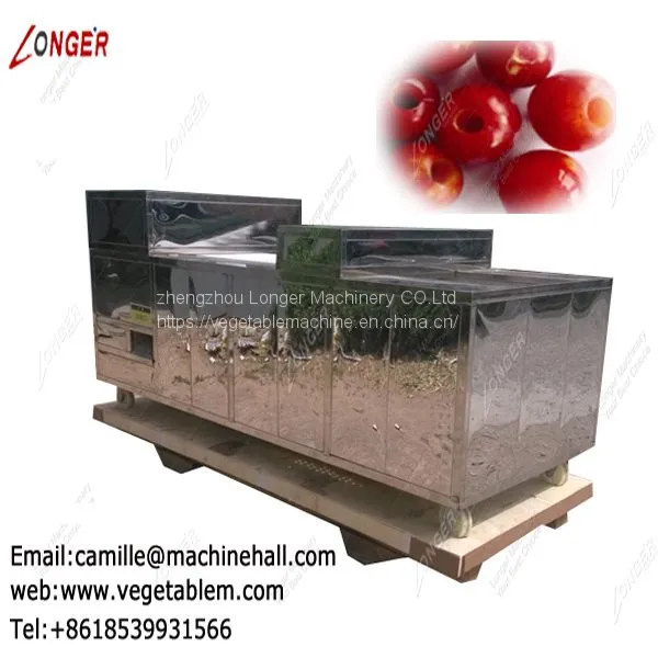 Cherry Stone Removing Machine |Cherry Pitting Machine for Sale|Plum Pit Remover photo-3