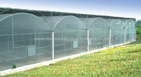 Agriculture Tomato Vegetable Double Plastic Film Inflatable Greenhouse photo-5