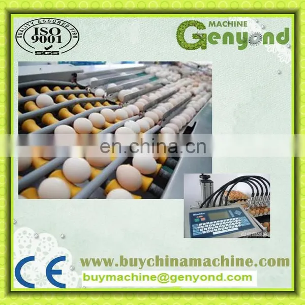 Automatic Egg Break Yolk and White Separated Equipment photo-5