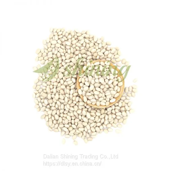 Navy White Beans photo-2