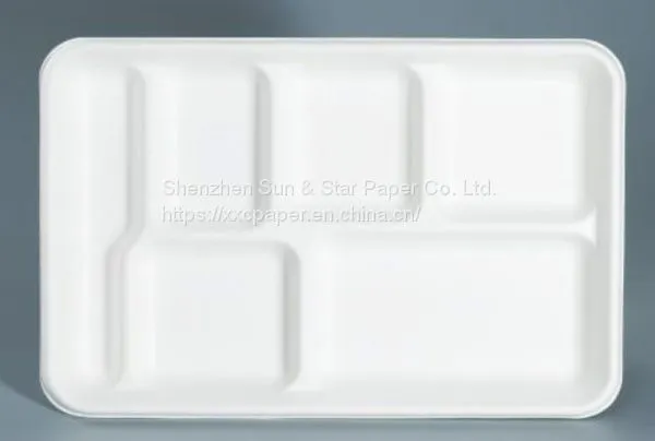 6 Compartment Tray photo-2