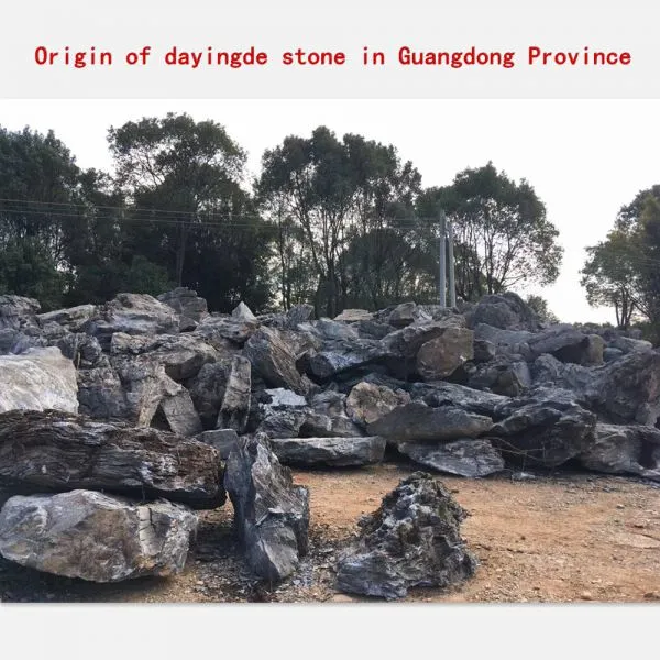 Где производитель Yingshi - Yingshi - Yingde?