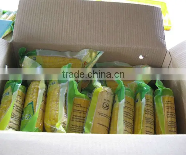 USA Frozen Yellow Sweet Corn Exporting Vietnam photo-2