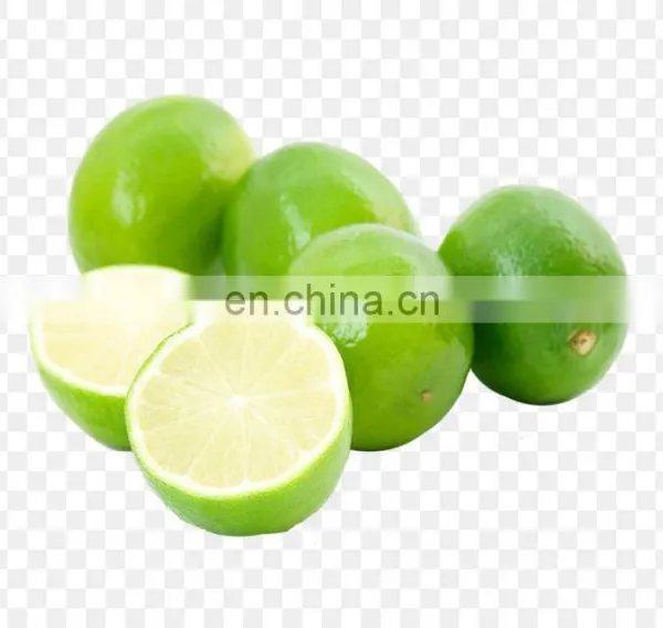 TOP FOOD FAMOUS FOR VIIET NAM GREEN LEMON HIGH QUALITY WITH BEST PRICE photo-4