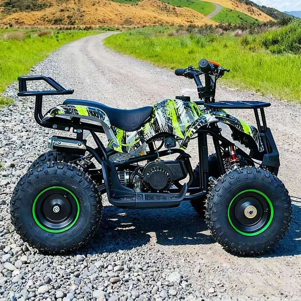 Beach Buggy Gasoline Power and Electric Drive photo-5