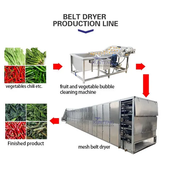 Hot Air Circulating Spices Finger Millet Vegetable Drying and Washing Machine Line Pumpkin Seeds Mesh Belt Trockner Dryer Tunnel EPC photo-4