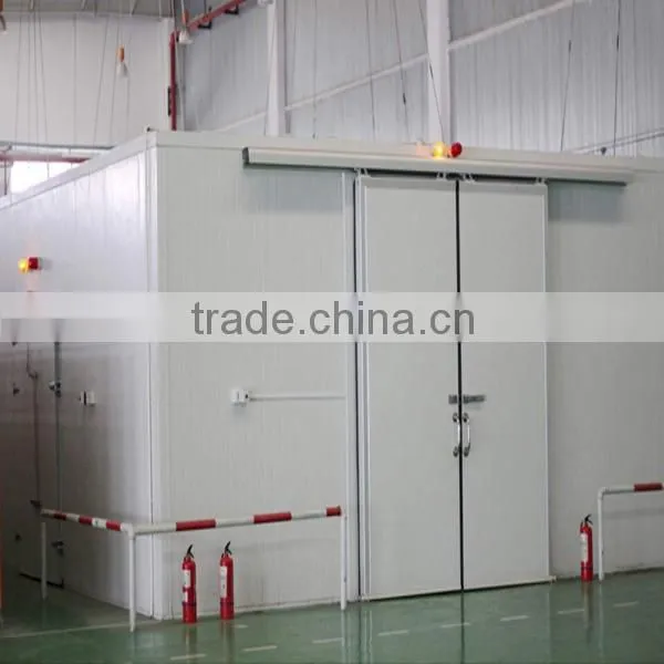PUR Panel Hinged Pedestrian Door for Cold Room photo-6