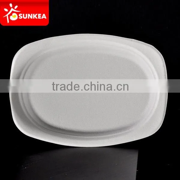 Biodegradable Disposable Bamboo Pulp Round Food Plate Quality Choice photo-3