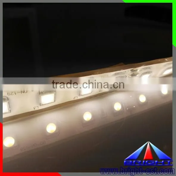 China Manufacturer 12V/24V Epistar 300leds/m SMD 5050 Waterproof IP68 Flexible LED Strip Light photo-2