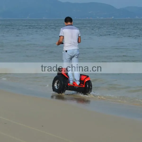 Factory Outlet Wholesale Electric Chariot