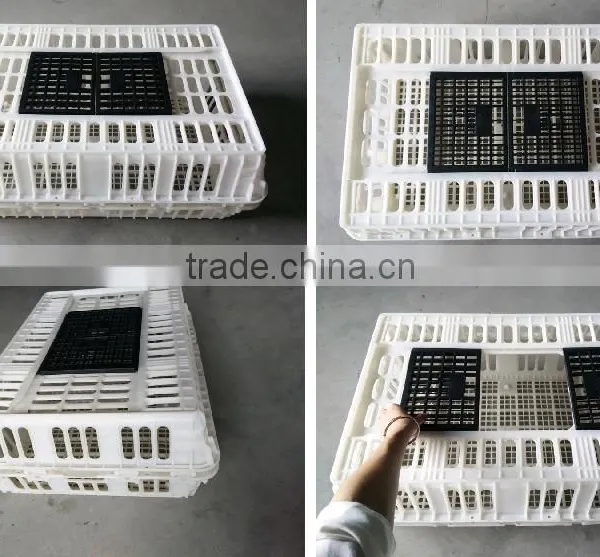 Chinese Plastic Hen Coop/chicken Cage photo-2
