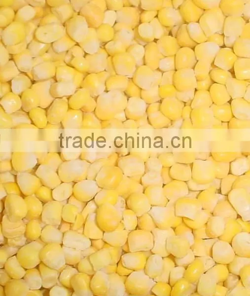 Wholesale Fresh Frozen Corn Kernel photo-2