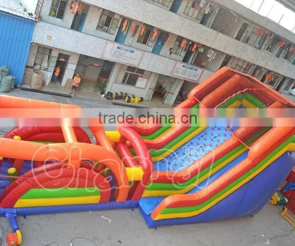 Giant Inflatable Water Slide Decal Paper Ball Bearing Slide for Adult photo-4