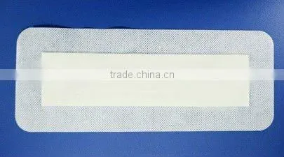 Chitin Wound Dressing