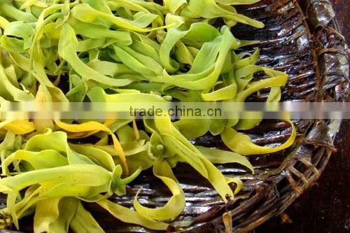 Ylang-Ylang Essential Oil On Best Price From Borg Export India 100% Natural photo-2
