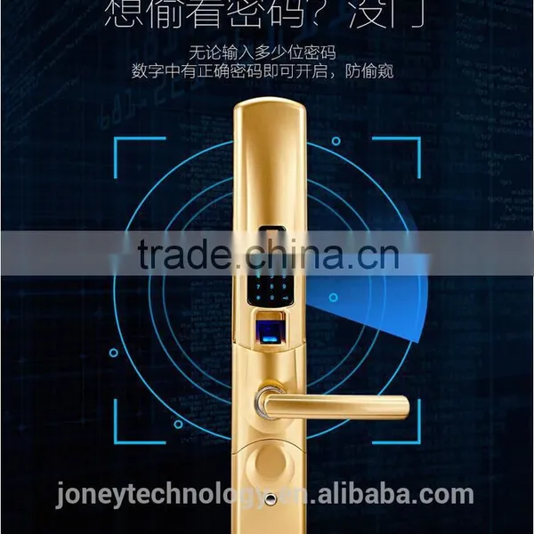 Remote Control Fingerprint Passwords Electric Door Lock photo-3