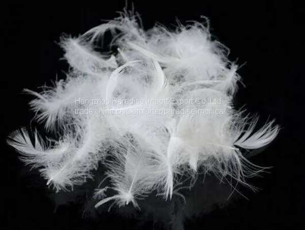 Cheap Washed White Goose Feather Down