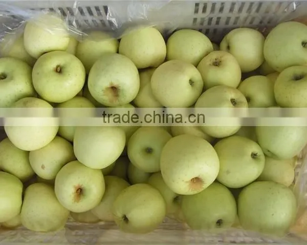 Fresh Apple