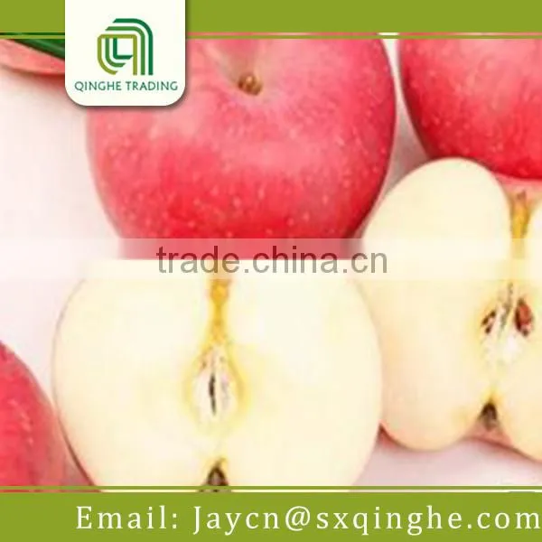 Fresh Fuji Apple Fruit Specification photo-4