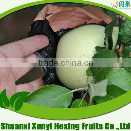 Fresh Fruits and Vegetables Importers